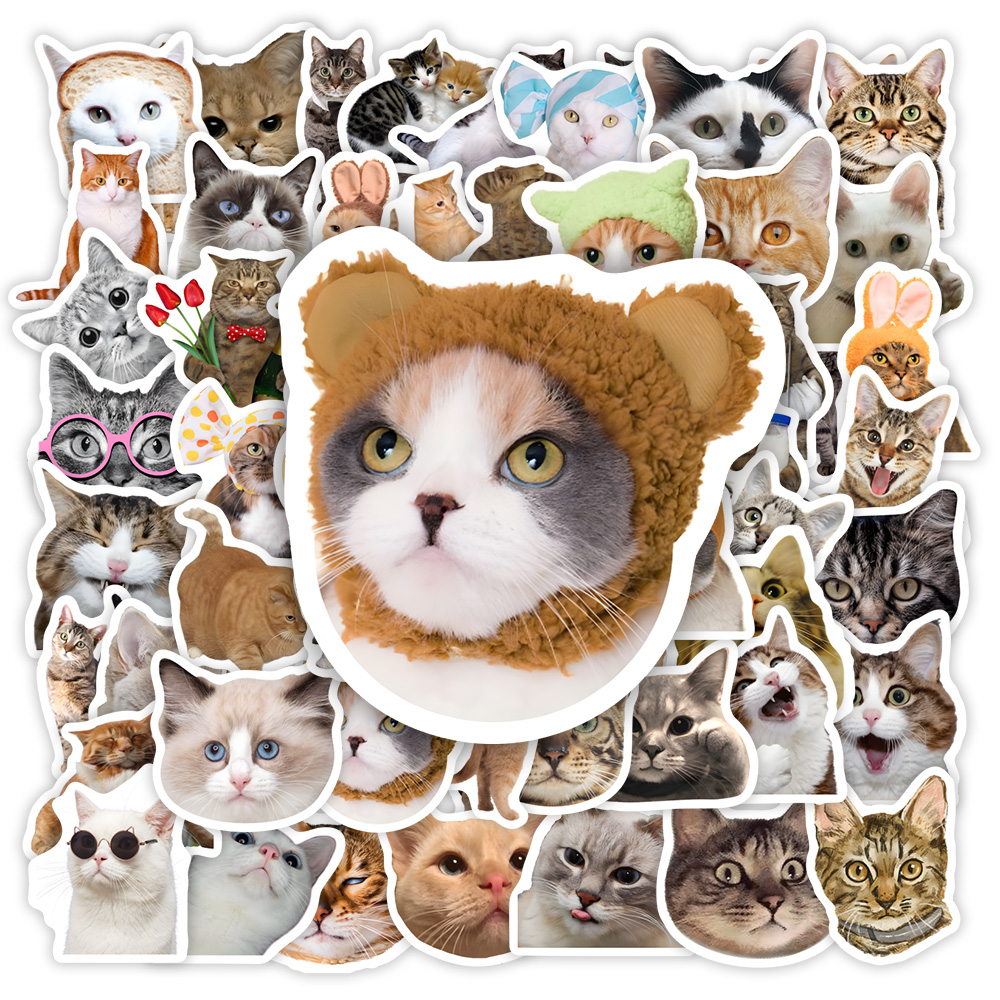 Funny Cat Clipart Stickers Kid - Kids Toys Clipart ulasan dan harga