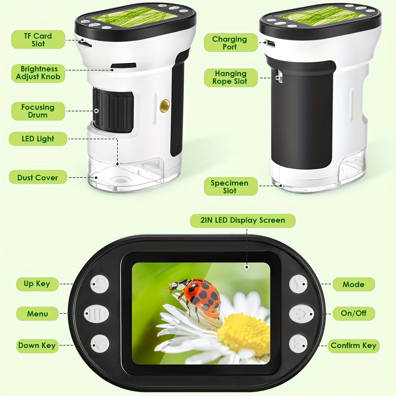 Kids Microscope Biological Kit - Kids Toys Horse ulasan dan harga