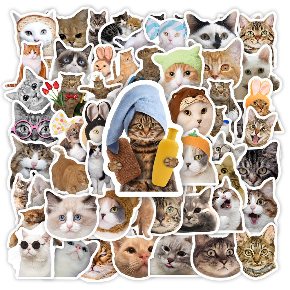 Cute Funny Cat Clipart Sticker - Kids Toys Clipart ulasan dan harga